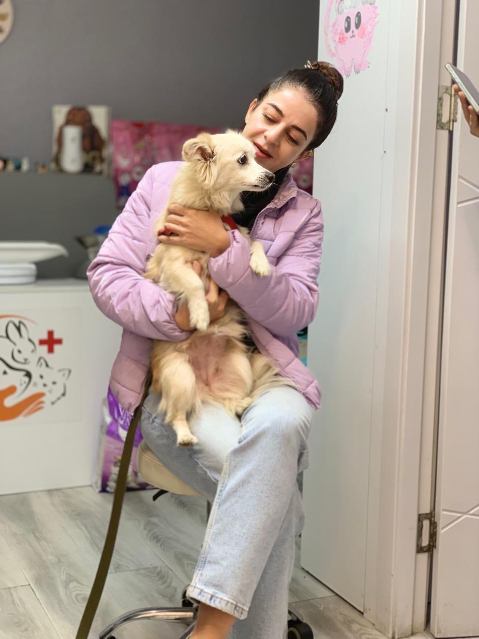 Staff member holding a small cream dog, close up