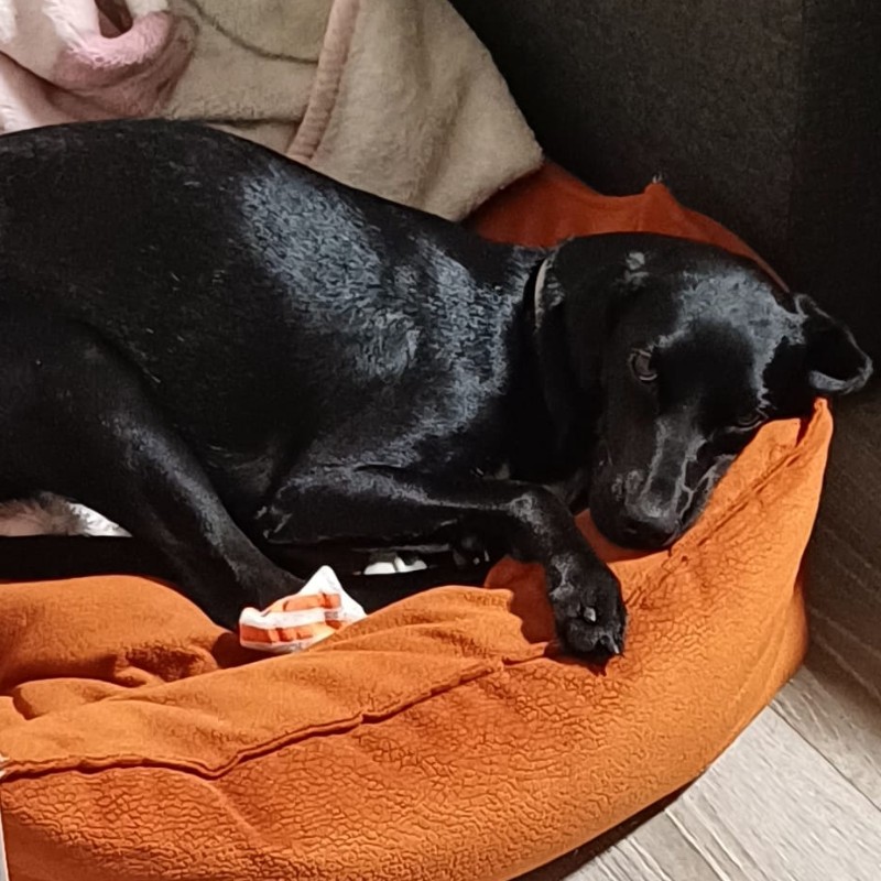 Coco